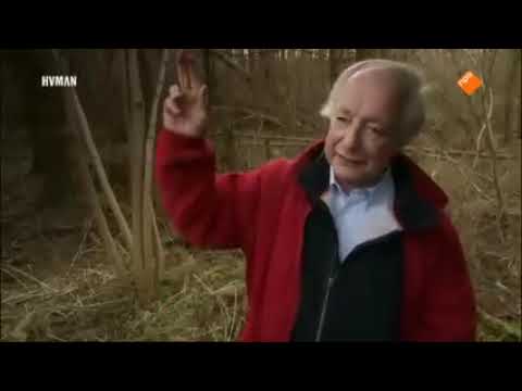 EEN LIJK IN HET BOS | MOORD DOCUMENTAIRE 