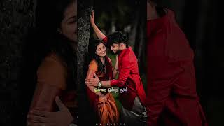 Download lagu Song: Aayiram Thaamarai Music: Ilaiyaraaja Singer : S. P. Balasubrahmaniyam, S. Janaki mp3