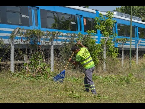 Realizamos trabajos de desmalezamiento en vías del Tren Mitre