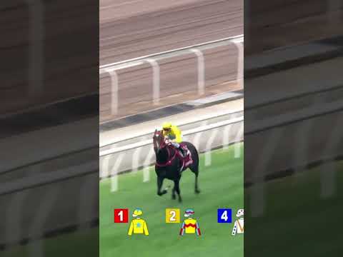 LUCKY SWEYNESSE  Z Purton @racingshorts272