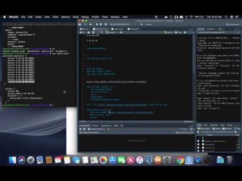 Load balanced R plumber API with NGINX
