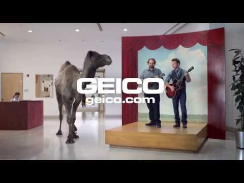 GEICO Hump Day Camel Commercial Happier than a Camel on Wednesday