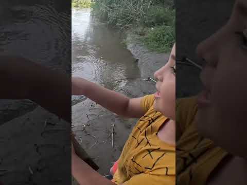 Pesca de Dorados y Bagres en el río gastona. Atahona, Tucumán. #pesca #pez #rio #dorados #argentina