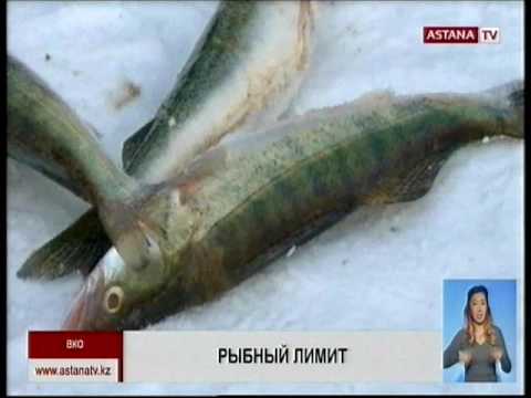 Рыбаки Зайсана обратились к премьер-министру Б. Сагинтаеву