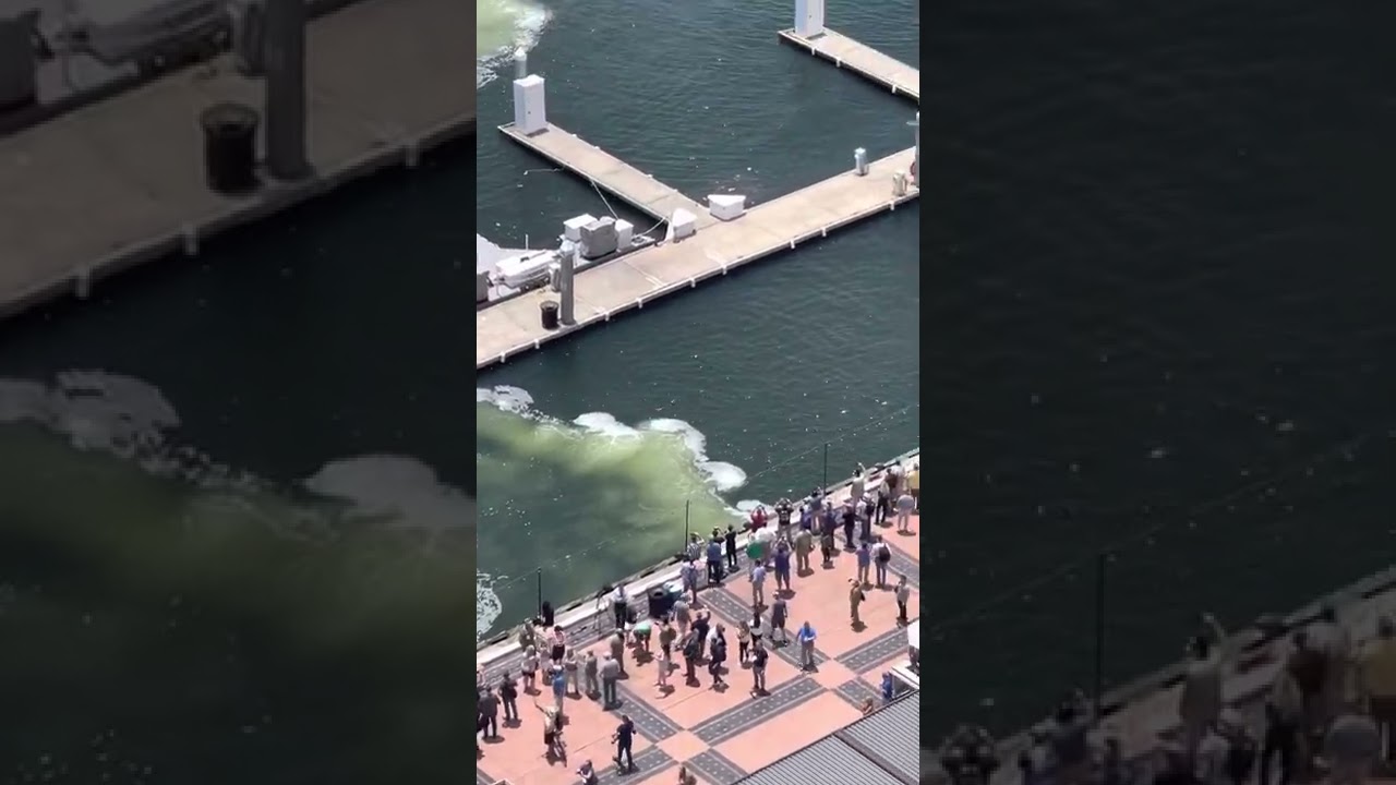 SOFIC 2022 Live Demo