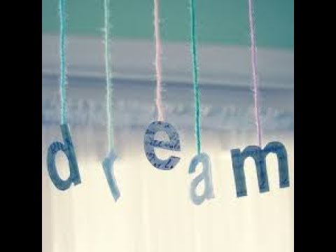 Dream #4 (seconda parte)- Il villaggio è in pericolo!