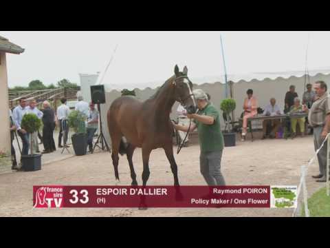 Concours AQPS Cercy 2016 Lot 33 : ESPOIR D'ALLIER