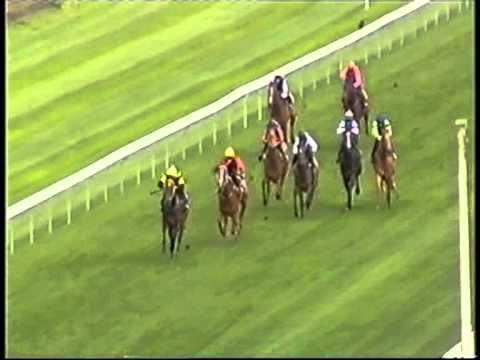 TOMODACHI trail in New Zealand