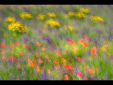 Multiple Exposures: You Keep Shooting with Bryan Peterson: AdoramaTV