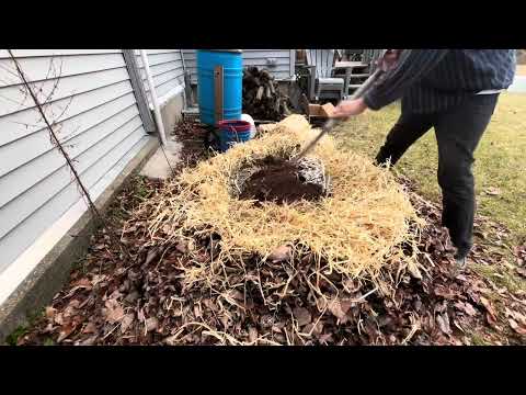 Home Compost Vlog 2: December 16, 2023