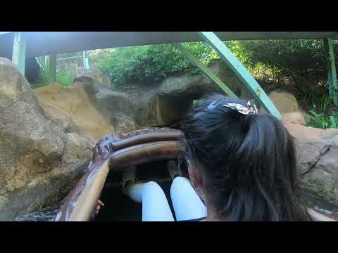 Log Ride at Gold Reef City Theme Park