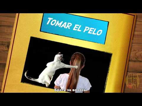 ESPAÑOL - Expresiones idiomáticas - Идиоматические Выражения (Русские Субтитры)