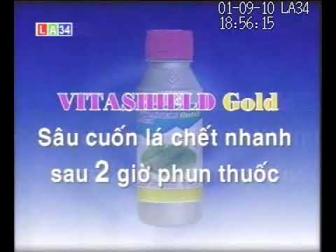 la34 09012010 185607