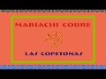 Las Copetonas | Este Es Mi Mariachi