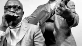 Sonny Terry & Brownie McGhee-Blues for Lowlands
