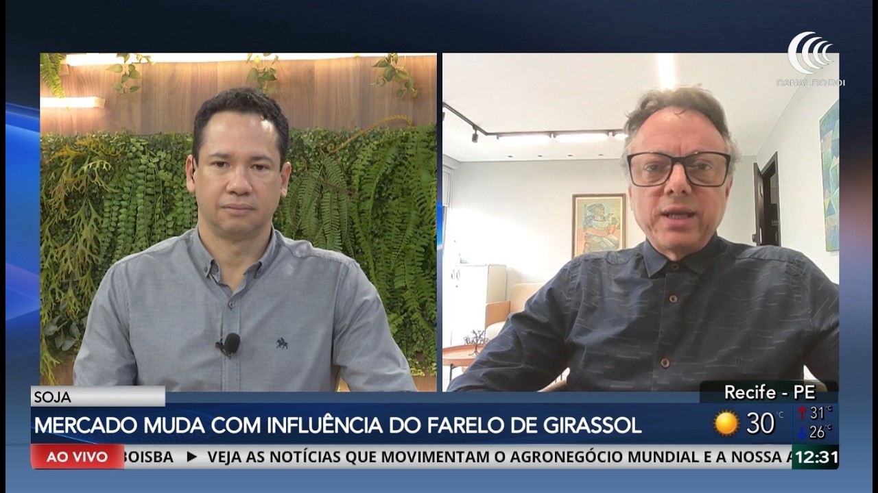 Conflito no Mar Negro aumenta pressão sobre o mercado de soja