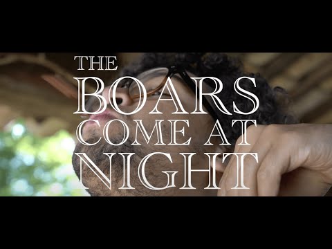 Le Sanglier Arrivent La Nuit (The Boars Come at Night)