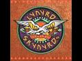 Lynyrd Skynyrd - What's Your Name