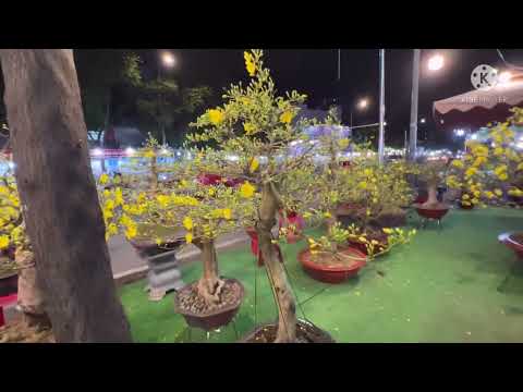 Chợ hoa Xuân Thành Thái đêm cuối (28-12al)