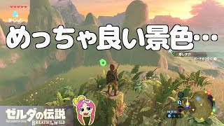 【ゼルダの伝説】敵に負けまくったから現実逃避しているリンク…女子実況