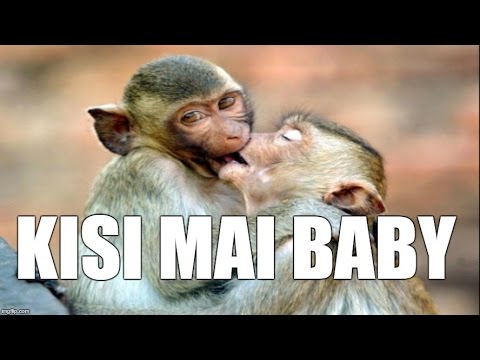 LOVE.KING - Kisi Mai Baby (Lyric Video)