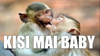 Funny Samoa Song - by LOVE.KING - Kisi Mai Baby