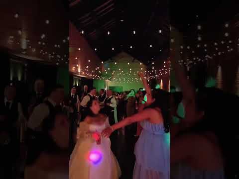 The Rainflowers Video 7