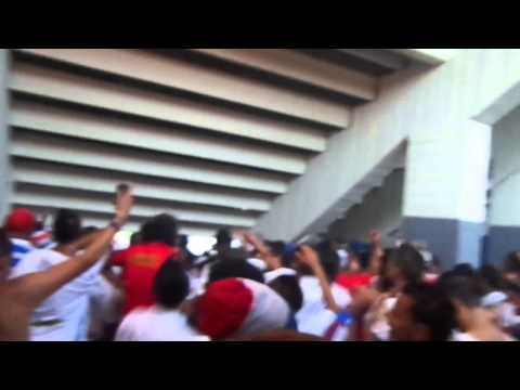 "Vamos Levanten la Copa, Albo Querído" Barra: La Ultra Fiel • Club: Club Deportivo Olimpia