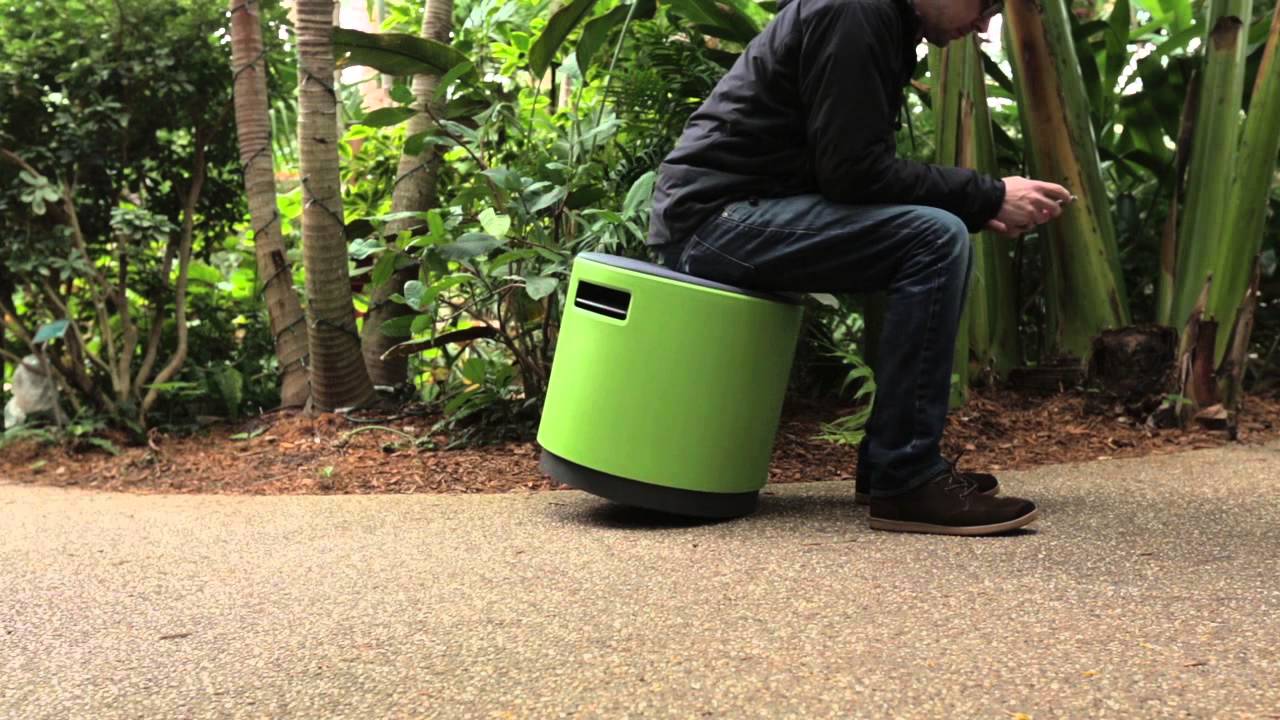 A Great Office Chair for The Active Person: turnstones  Buoy