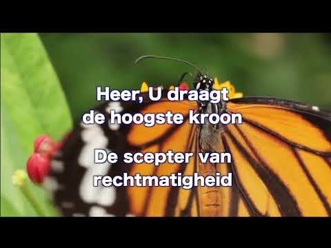 OPwekking 417 Heer, U draagt de hoogste kroon