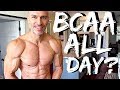 BCAA Supplementation All Day Long?