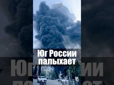 Экологическая катастрофа в Туапсе