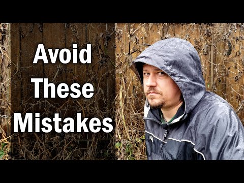 How To Reuse Old Potting Soil FOUR ways