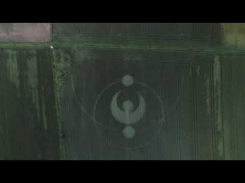 Cropcircle St Hippolyte 14/06/19