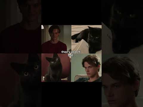 every black cat need their golden retriever ~ conrad fisher / jeremiah fisher ~ #edit #trend #fypシ
