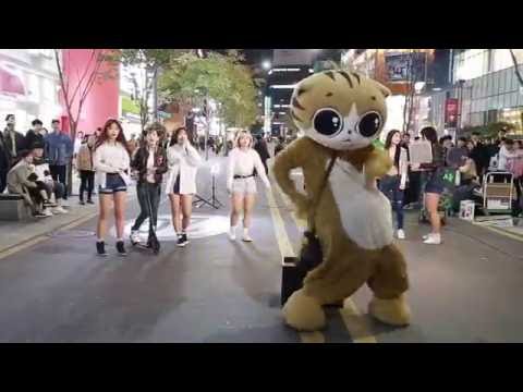 JHK TV] 신촌댄스 sin chon street dance  special cat 명물고양이  dance