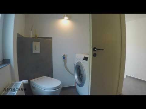 WI-184559 - Helles möbliertes 1-Zimmer Apartment im Souterrain mit Internet in Mainz