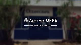 Acervo.UFPE - Episódio 5: Museu de Oceanografia