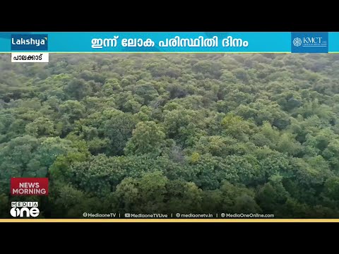 തരിശായി കിടന്ന 100 ഏക്കറിലധികം സ്ഥലം നിബിഡ വനമാക്കിയ മനുഷ്യൻ; ശരവണൻ ജീവിക്കുന്നത് ഈ വനത്തിനായി