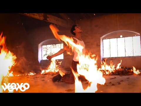 Stein - Cobra ft. Luie Tatz