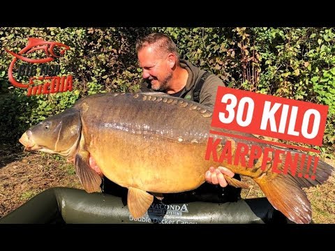 Die Großkarpfen-Strategie: Karpfen über 30 Kilo - Gregor trifft den Profi