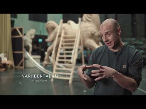 OperaCafé 20230212 - János vitéz rendezői koncepció