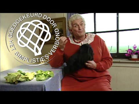 Huisdieren - Van Kooten en De Bie