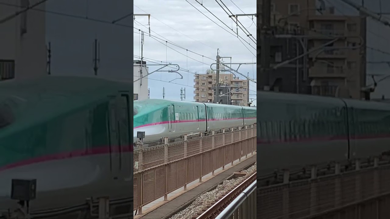 JAPANESE SHINKANZEN