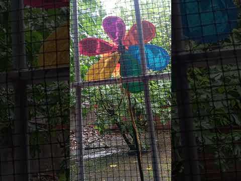 Merlo, Buenos Aires, Argentina.