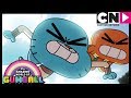 Gumball The Points Cartoon Network