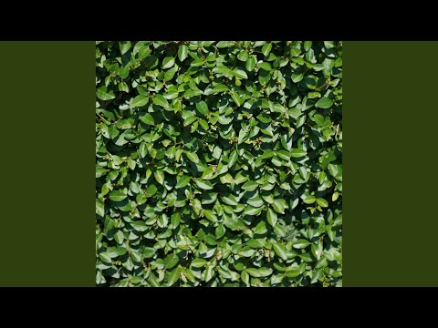 Evermore (feat. Elaksi & Suggs)