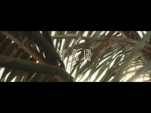 DIHAV, ZINO - YAR (Official video)