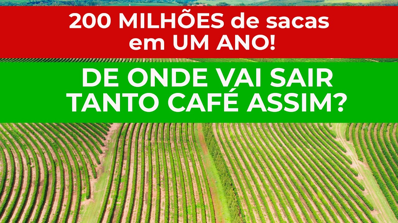 O mundo vai precisar de 200 MILHÕES DE SACAS DE CAFÉ por ano em 2030!! De onde virá todo esse café?