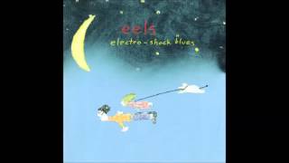 eels - 3 speed